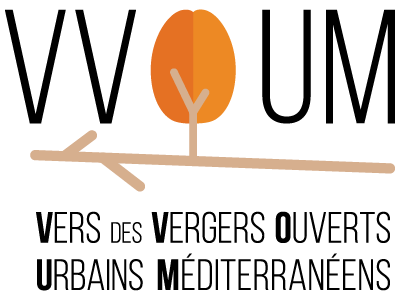 vvoum logo