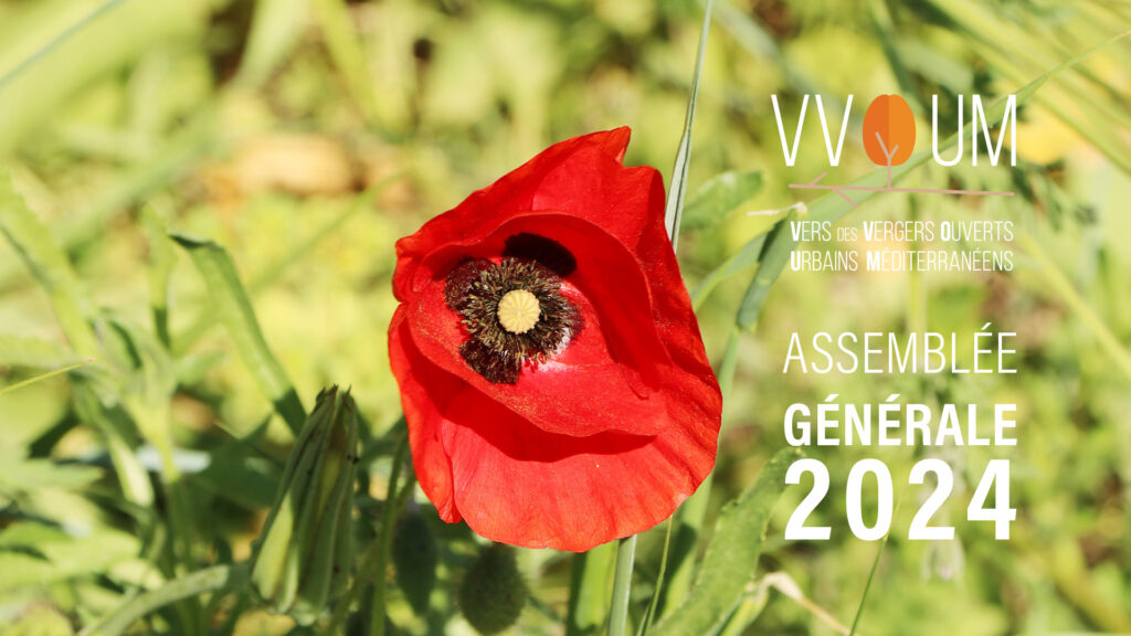 Vvoum AG 2024