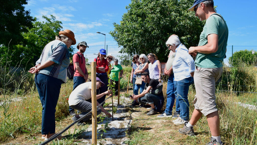 Ateliers de sciences participatives